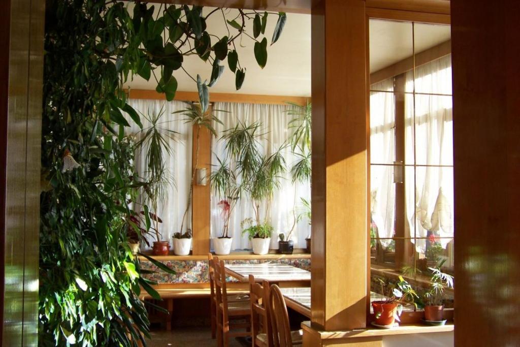 Hotel Brustolon Dont Exteriör bild